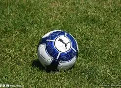 周琦,陈盈骏加盟,引关注,FB体育平台,FB体育官方网站,FB体育登录入口,FB体育app下载