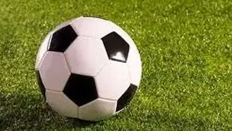 星途繁衍：明星育子乐章下载