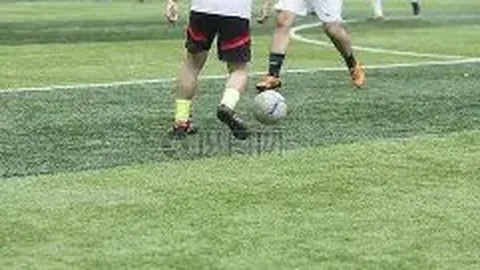 FB体育 产品 095819 j4c