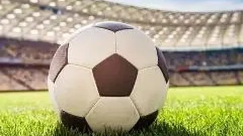 FB体育 产品 095634 ein