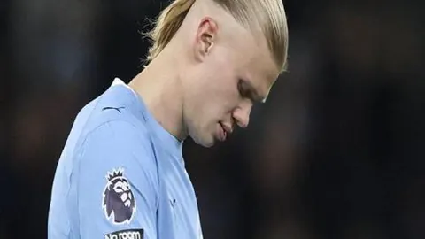 FB体育 产品 090601 dlp